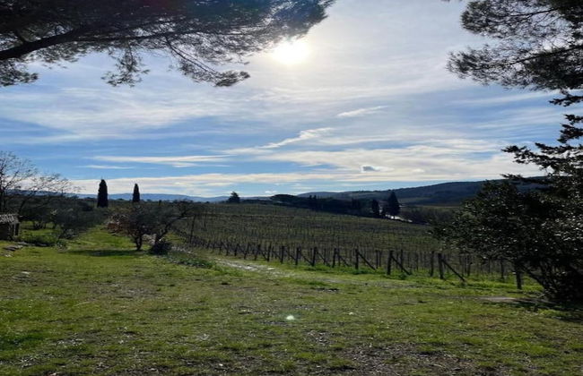 A Vineyard Apartment Retreat - Foto 46