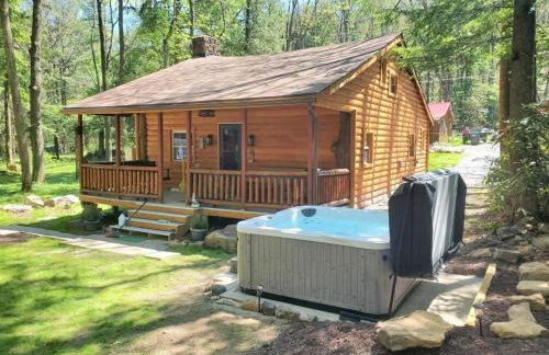 Pet Friendly Creekside Cabin Kooser St Park - Foto 24