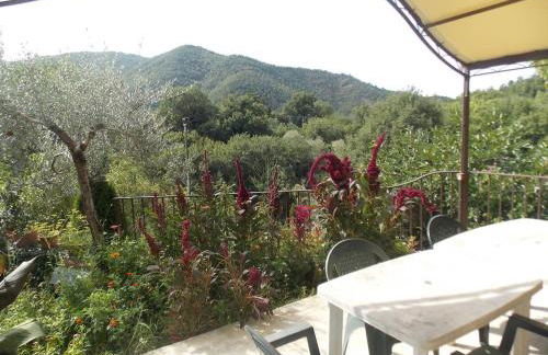 Villa Il Corniolo - Foto 16