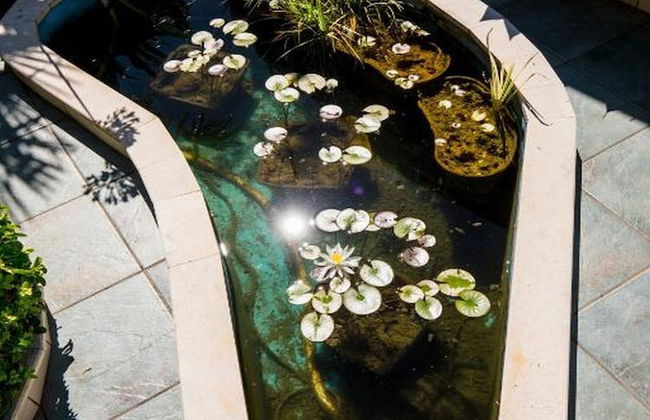 Sunny Palace Apartments - Foto 54