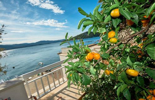 Repic Apartments - Photo 11