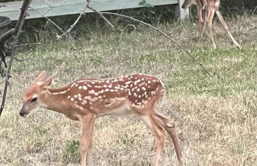 Fishers Of Men Ranch Home - Photo 70