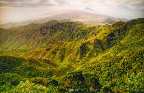 Radazul Beachfront apartment - Foto 54