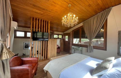 Touristic Ballonga Horses - Foto 12