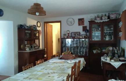 Casa da Palmeira - Foto 12