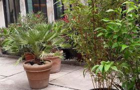 Le Clos du rouet - Foto 7