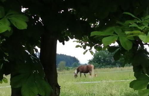 Waldheimat - Photo 38