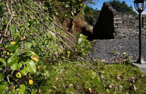 Tyn Llwyn Cornel - Foto 26