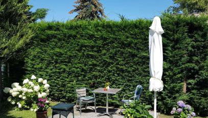 Ferienwohnung Riemeyer - Foto 3, Garden