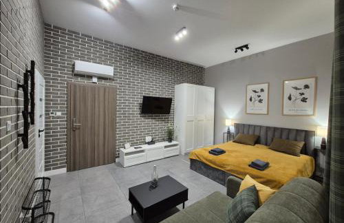 APARTAMENTY PRUCHNICKA - Foto 54