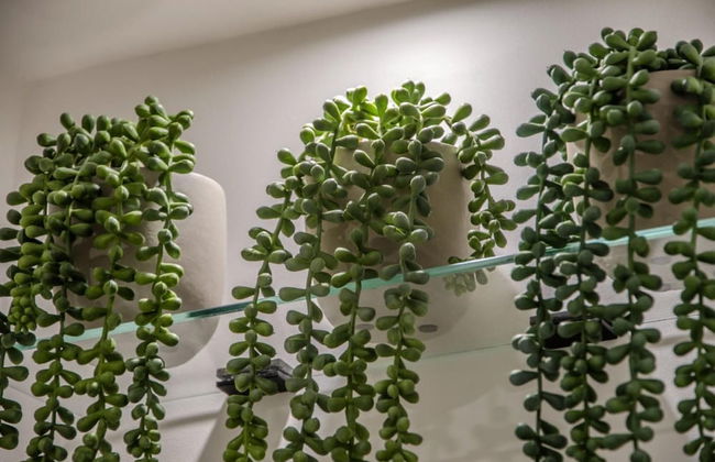 Knightstone Apartment - Foto 8