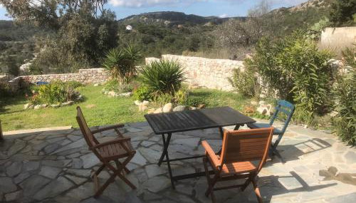 Clive and Bifi's house - Foto 5