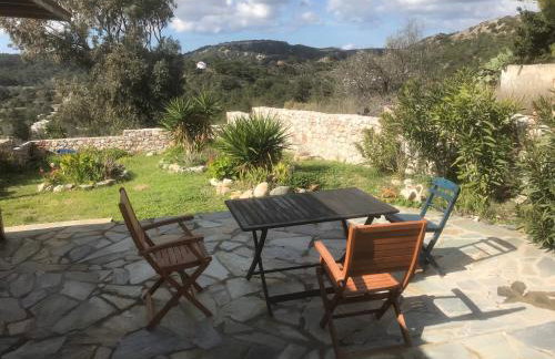 Clive and Bifi's house - Foto 5