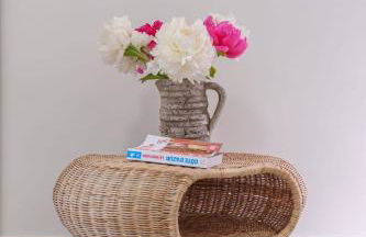 Le Bosquet - Quiet - Hypercentre - AC - Garden - Foto 22