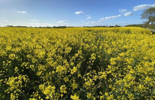 Leichte Brise - Foto 21