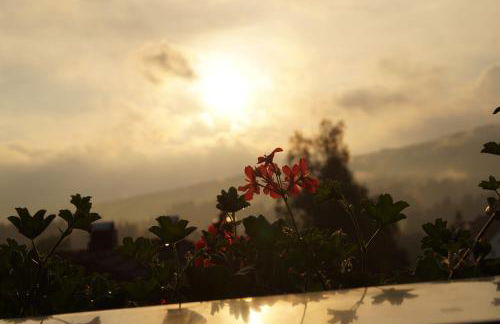 Haus Haidweg - Ferienwohnungen in Haidmühle im Dreiländereck DE-CZ-AT - Foto 13