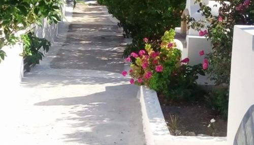 Venetos Studios - Foto 5