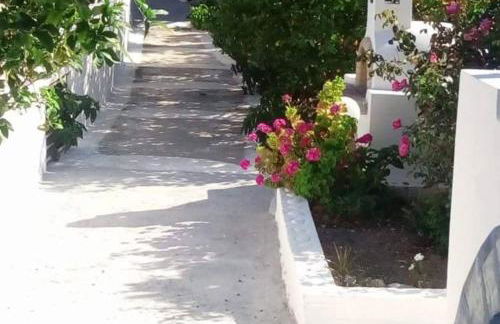 Venetos Studios - Foto 5