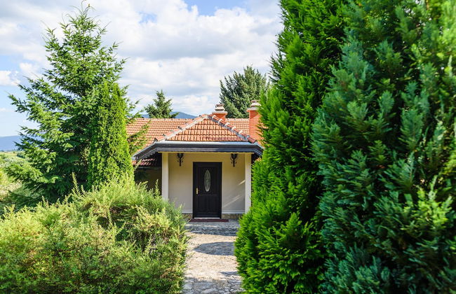 Luxury Green Oasis Villa With Pool! - Photo 10