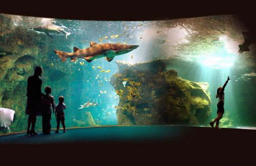 Villa in France with Pool and Private Garden - Foto 18