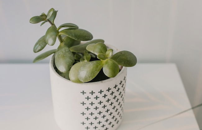 Teatro Alameda City - Foto 31