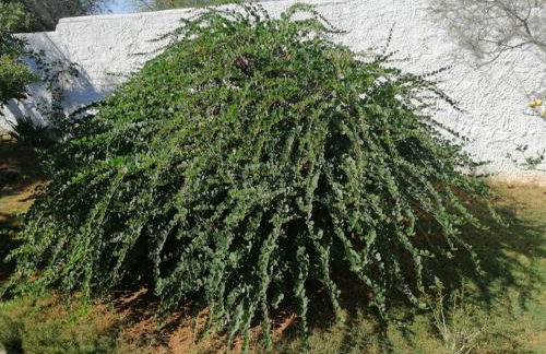 La Maisonette - Photo 23