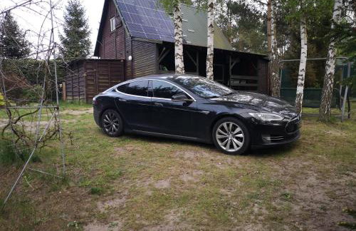 domki nad jeziorem, las, do 10 osób jezioro Wilczyńskie Budzisławskie - domek letniskowy osobno ogrodzony, ogrzewany mile widziane pieski, zwierzeta- wielkopolska, 62-550 Zygmuntowo gm Wilczyn - Photo 27