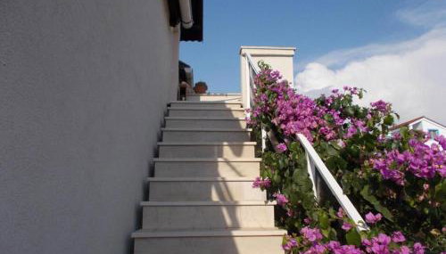 Apartman Milutin - Foto 3