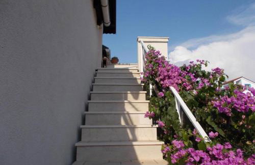 Apartman Milutin - Foto 3