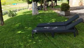 Agriturismo Bagnaia - Foto 2, Garden view