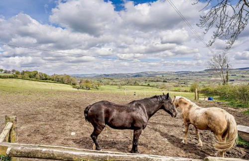 2 Bed in Llanybydder oc-81353 - Photo 4
