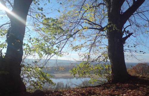 Ferienwohnungen Ströhlein - Foto 22