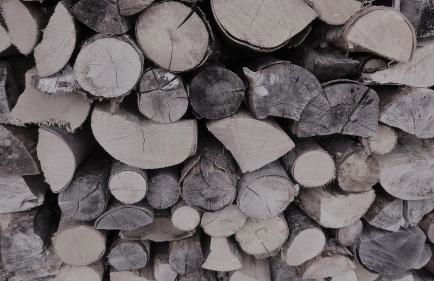 Schlossar Haus - Photo 36