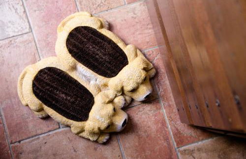 Tenuta Montemassi Podere Montauzzo - Foto 89