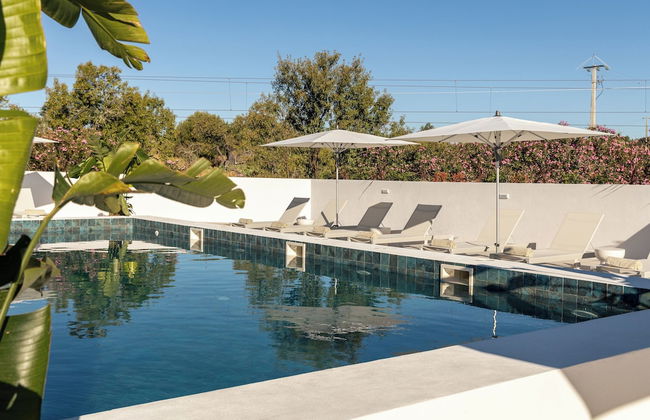 Estúdios Salinas - Foto 1