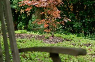 Château de Champ-renard - Foto 19