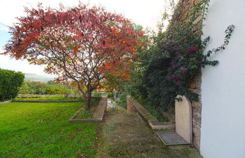 Villa Margarita - Foto 29