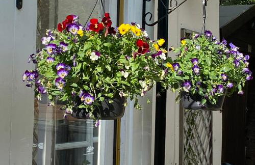 Honeysuckle Cottage - Foto 21