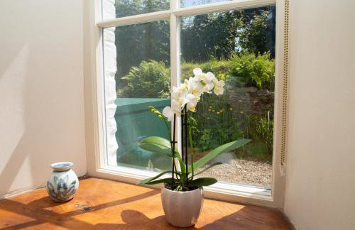 Bayvil Newport, Pembrokeshire - Foto 13