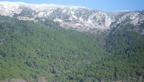 Edificio Reyes - Photo 5