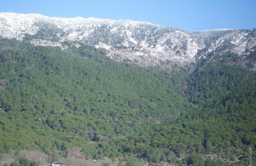 Edificio Reyes - Foto 6