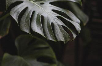 Chris&C Apartments - Foto 48