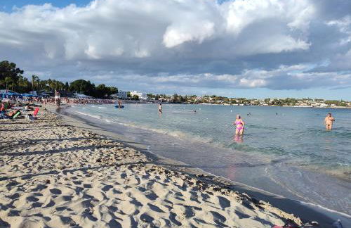 Endless Summer - Photo 5