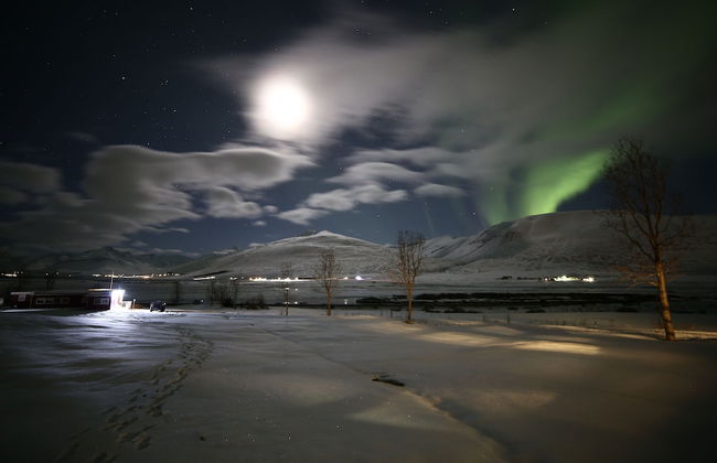 Höfði Cottages - Foto 44