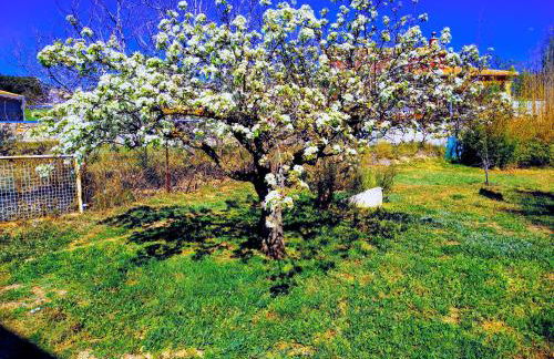 Appartement Casita - Foto 23