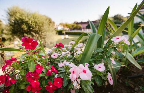 Dimoulias House - Foto 36