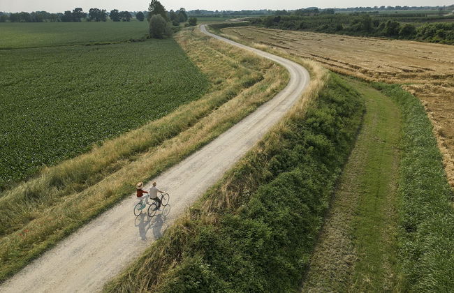 Hotel Airone - Foto 38