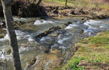 Bieszczadzki Domek przy Potoku - Foto 20