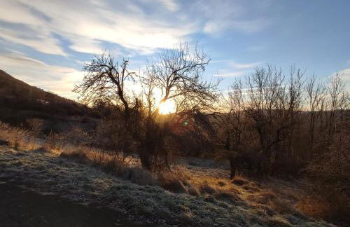 "Haus Ulla" - Foto 53