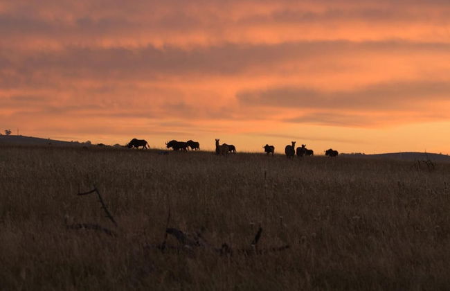 Wild Clover Cottages - Foto 18